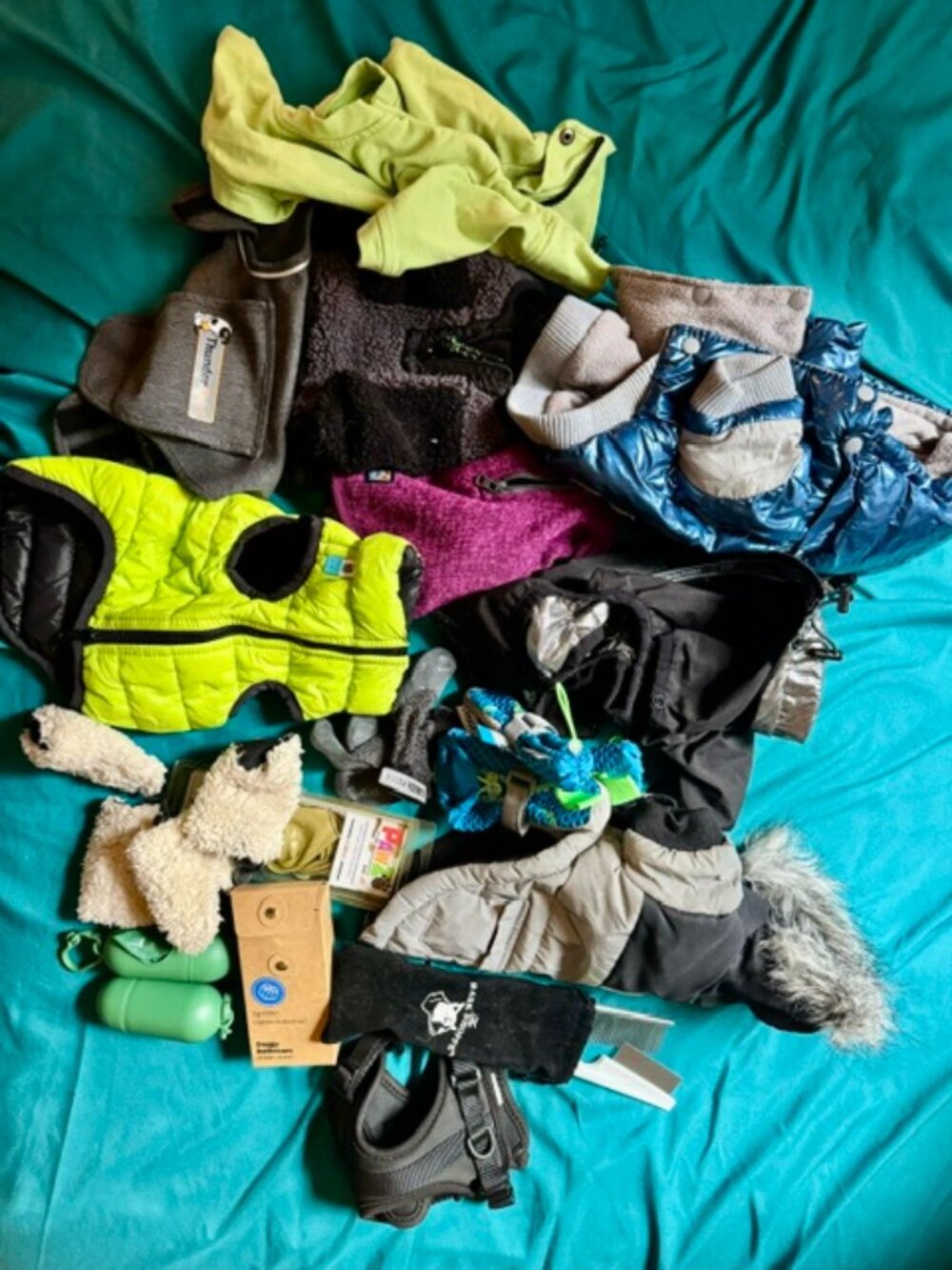 Dog Clothes Lot